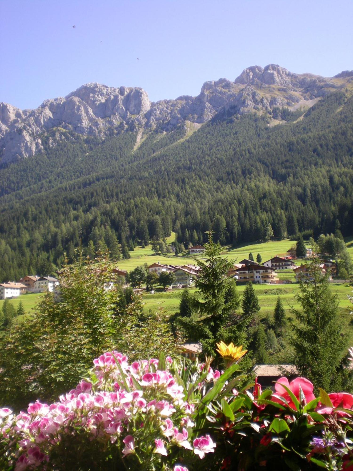 Hotel Des Alpes Soraga Exterior photo